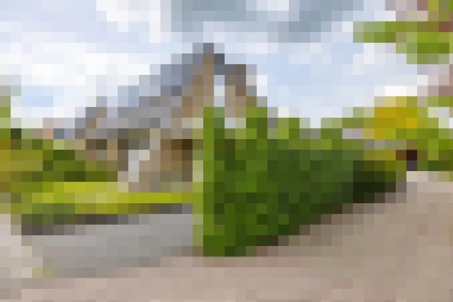 Westhove 1 Roden foto 3