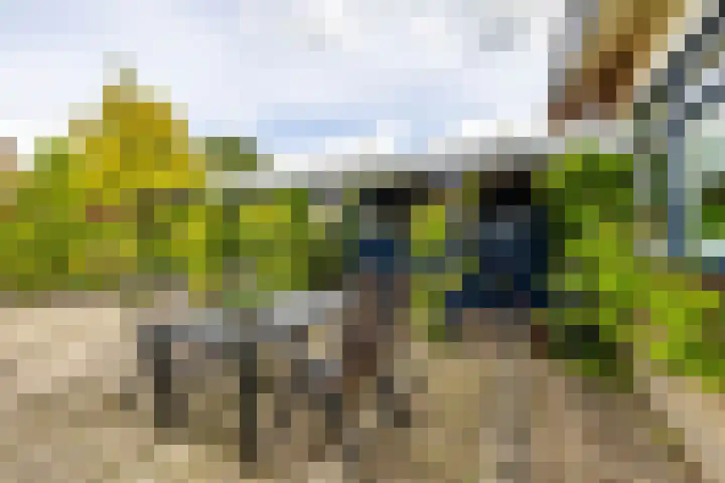 Westhove 1 Roden thumbnail 32