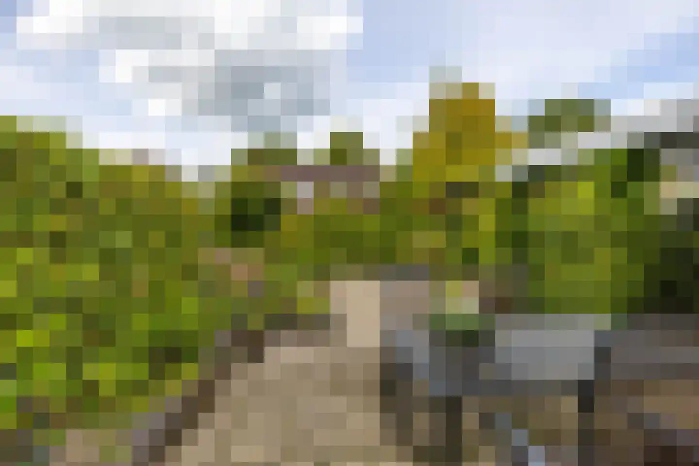 Westhove 1 Roden thumbnail 33