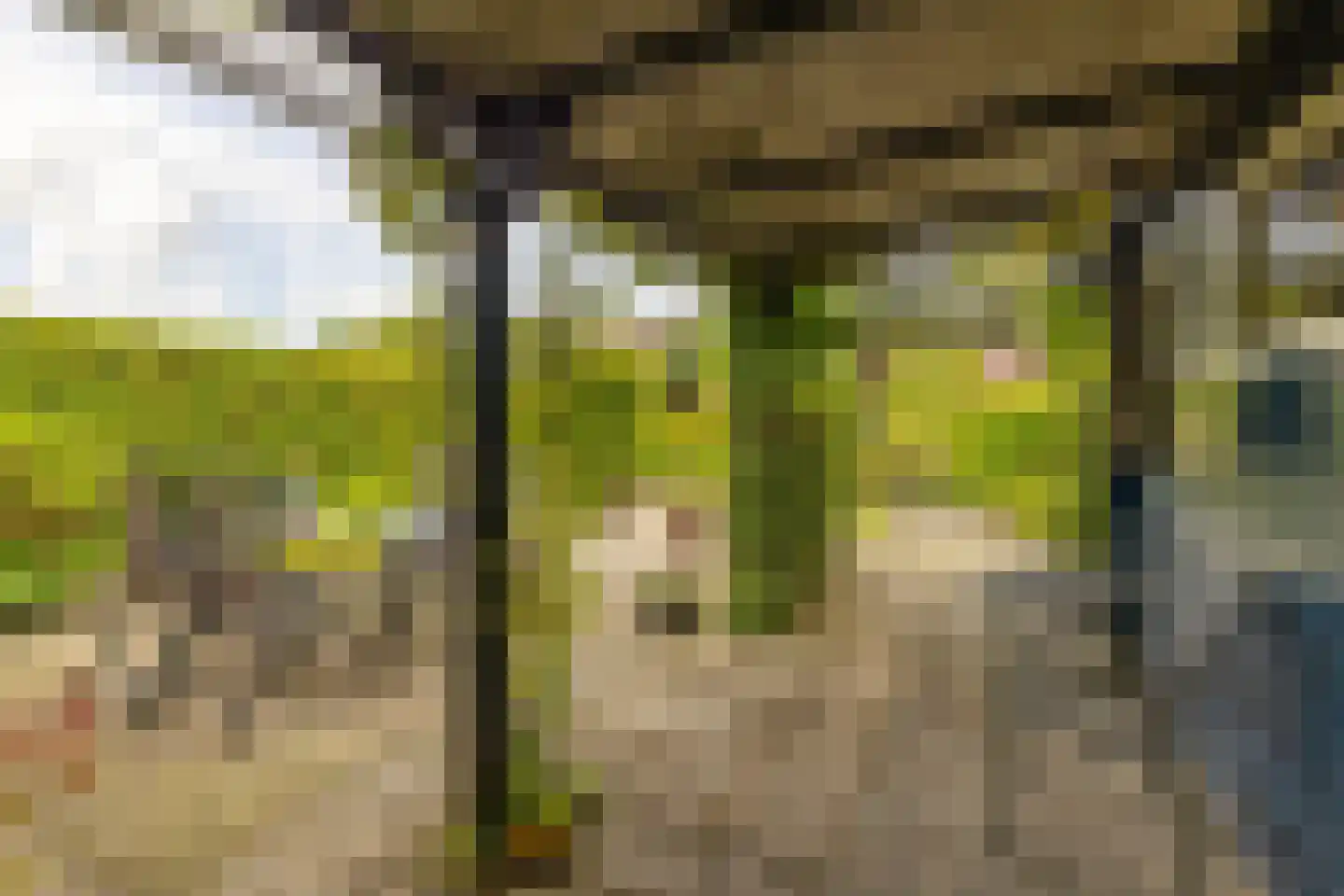 Westhove 1 Roden thumbnail 35