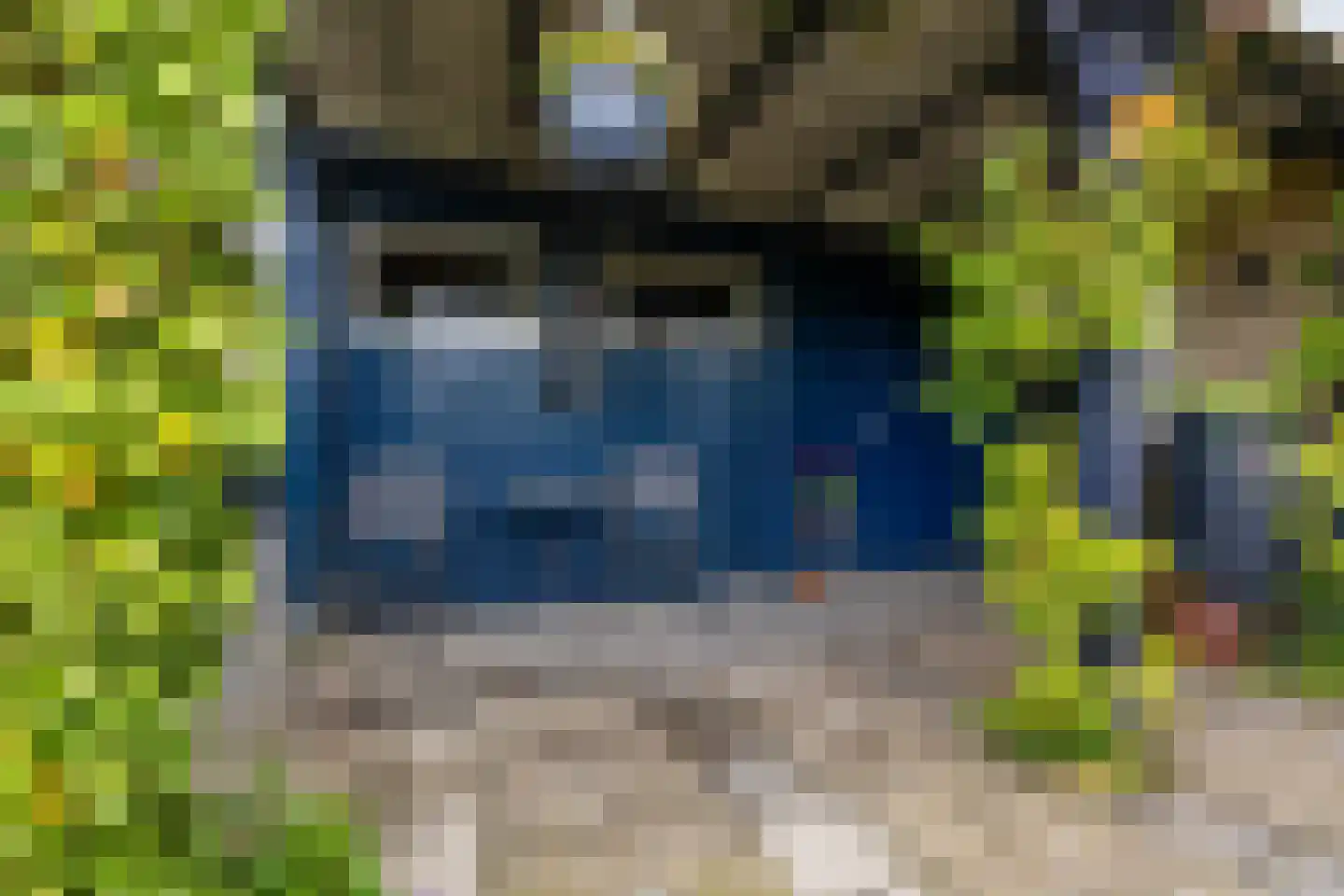 Westhove 1 Roden thumbnail 36