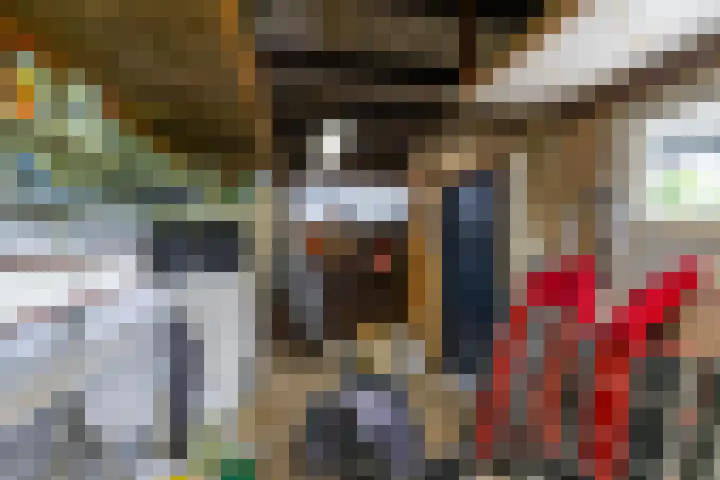 Westhove 1 Roden thumbnail 37