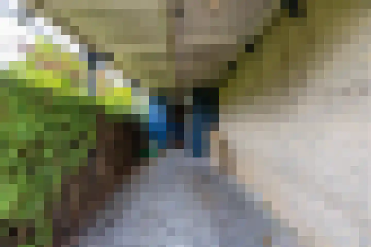Westhove 1 Roden thumbnail 38