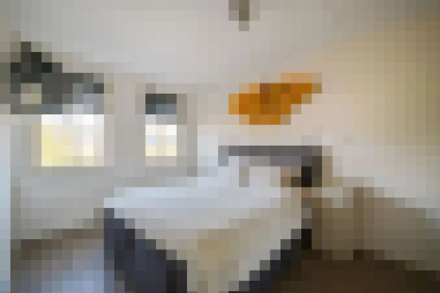 Westhove 101 Amstelveen thumbnail 17