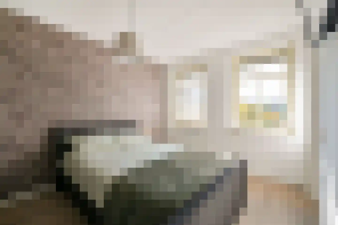 Westhove 101 Amstelveen thumbnail 19