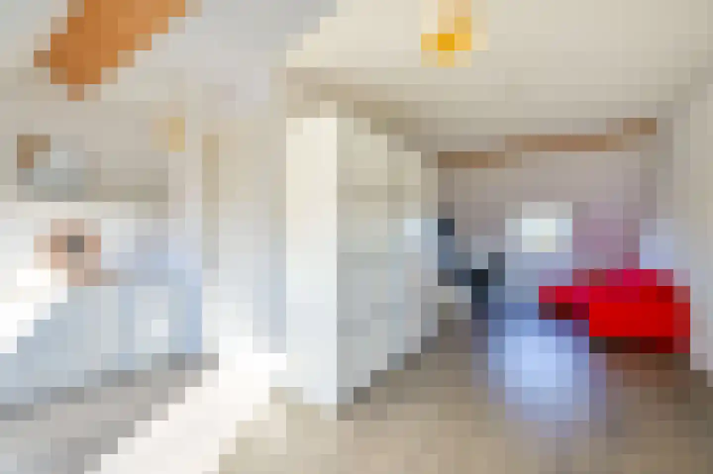 Westhove 101 Amstelveen thumbnail 26