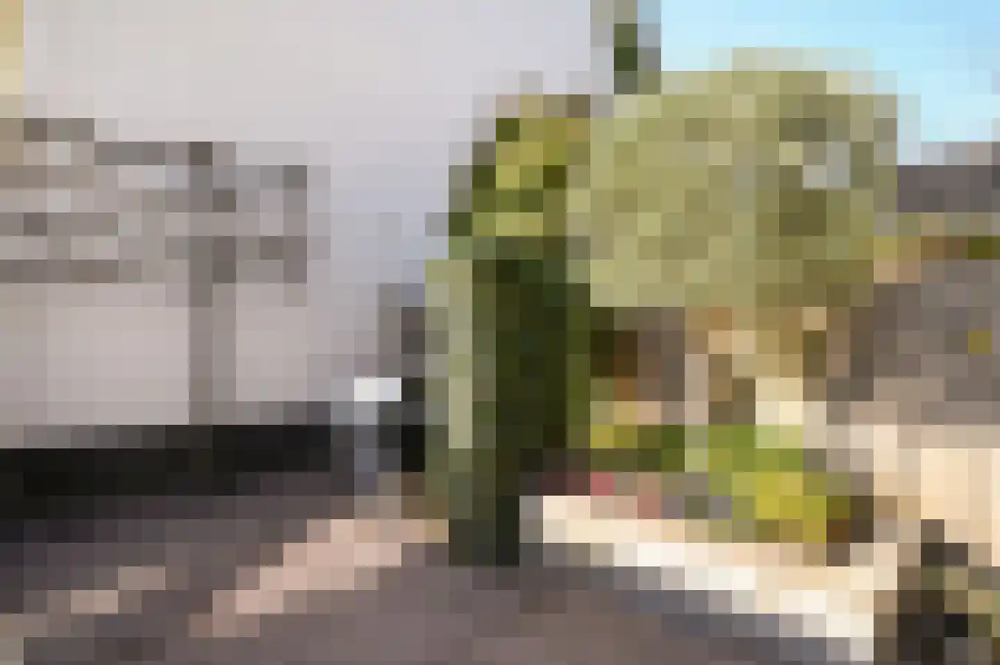 Westhove 101 Amstelveen thumbnail 35