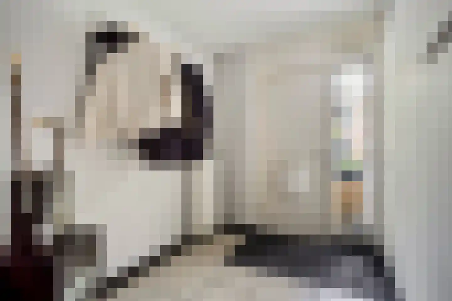 Westhove 11 Hoofddorp thumbnail 12