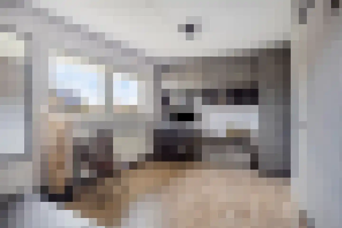 Westhove 11 Hoofddorp thumbnail 15