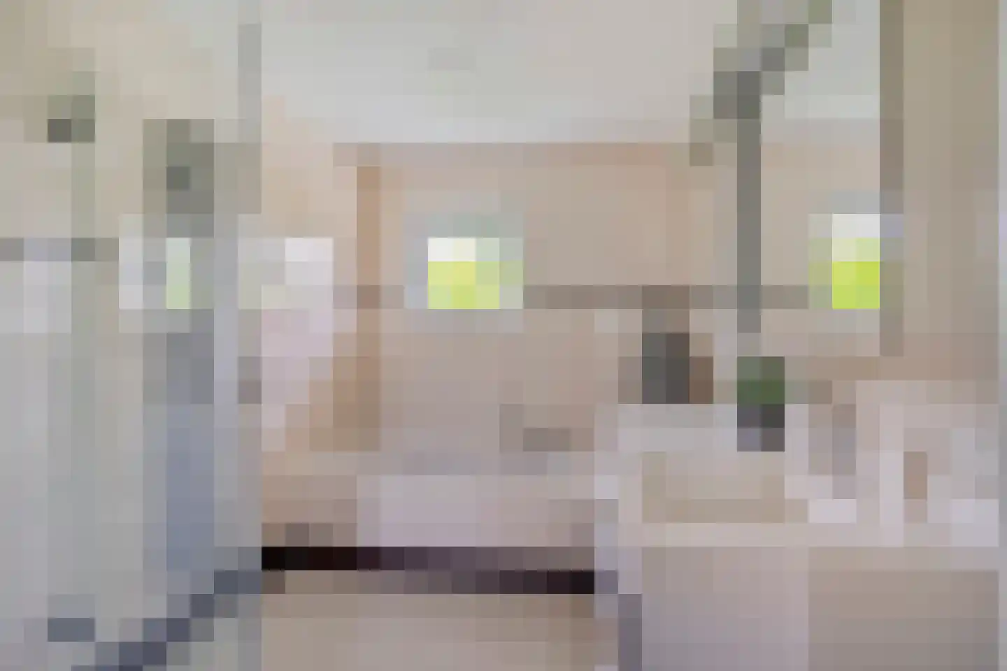 Westhove 11 Hoofddorp thumbnail 18