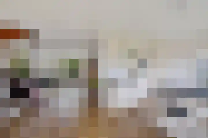 Westhove 11 Roden thumbnail 12
