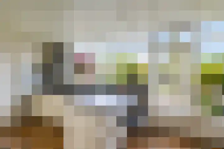 Westhove 11 Roden thumbnail 13
