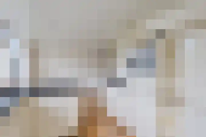 Westhove 11 Roden thumbnail 14