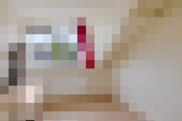 Westhove 11 Roden thumbnail 17
