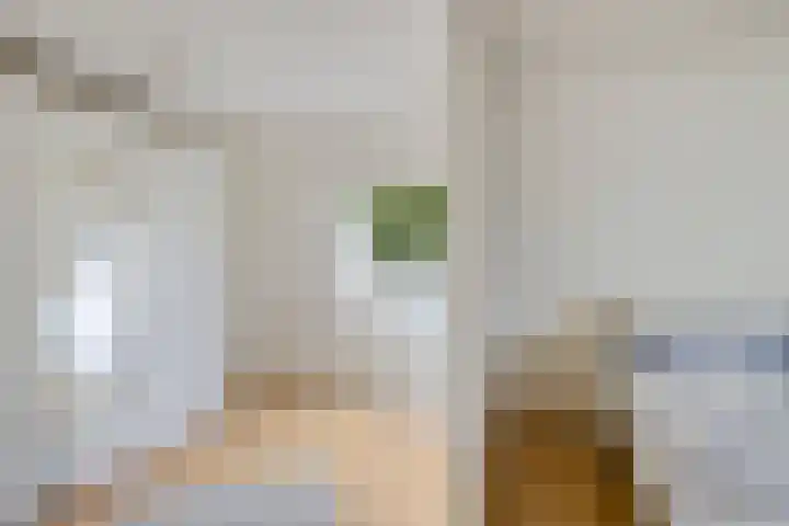 Westhove 11 Roden thumbnail 24
