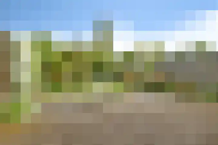 Westhove 11 Roden thumbnail 26