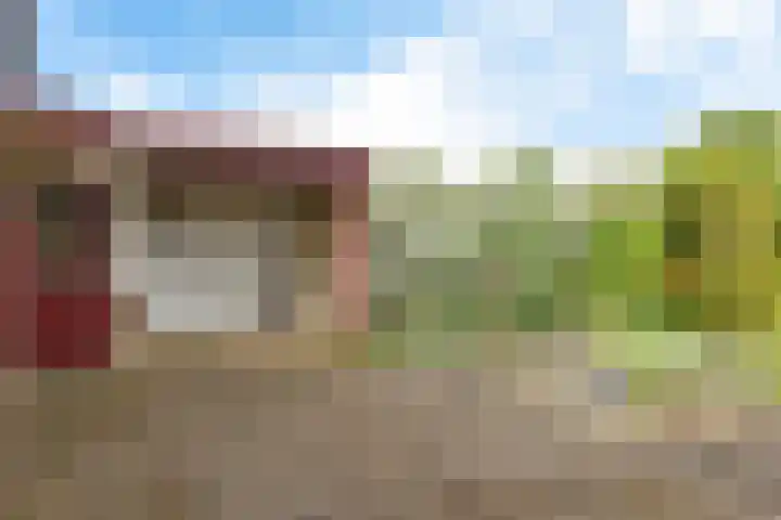 Westhove 11 Roden thumbnail 27