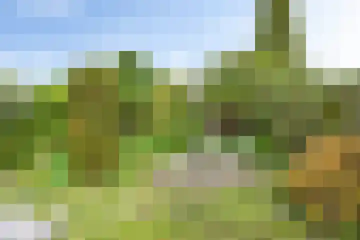 Westhove 11 Roden thumbnail 28
