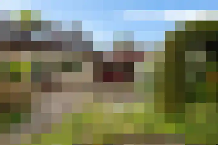 Westhove 11 Roden thumbnail 29