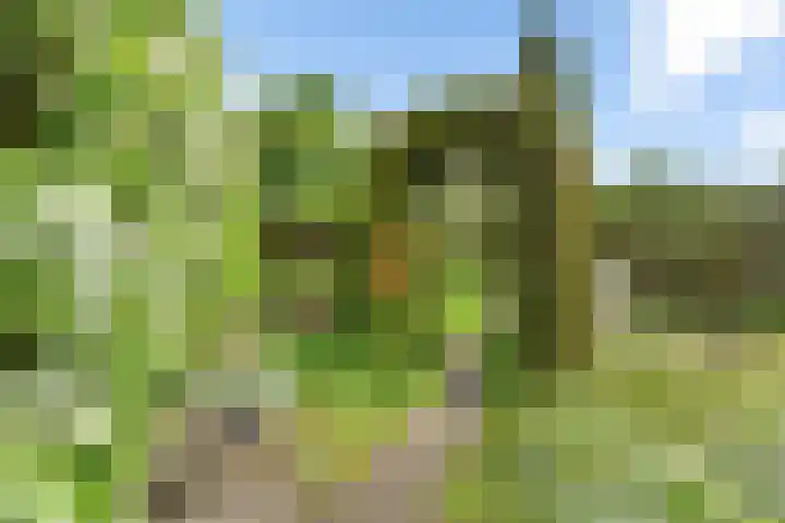 Westhove 11 Roden thumbnail 30