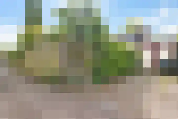 Westhove 11 Roden thumbnail 31