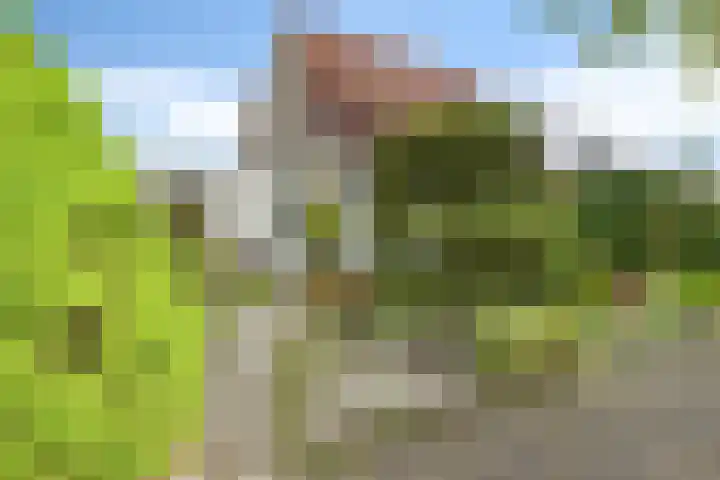 Westhove 11 Roden thumbnail 35