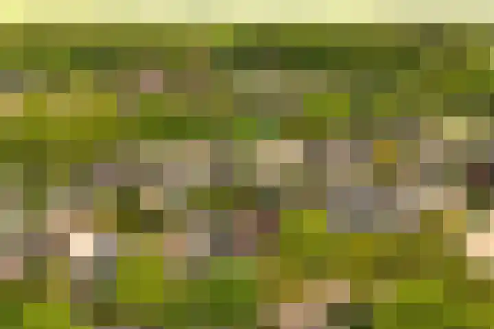 Westhove 11 Roden thumbnail 4