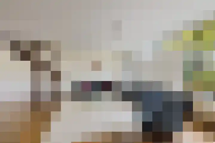Westhove 11 Roden thumbnail 9