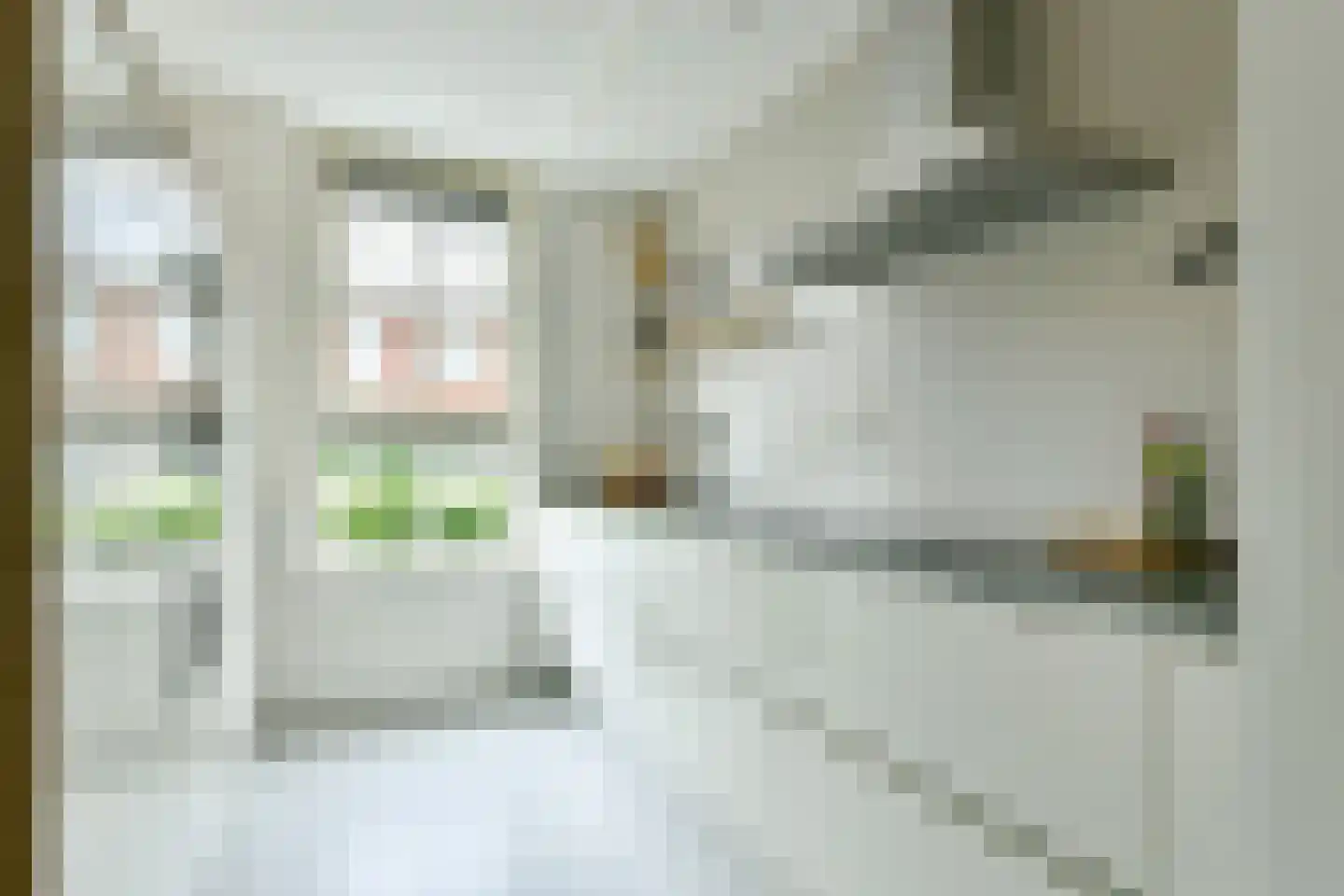 Westhove 129 Amstelveen thumbnail 10