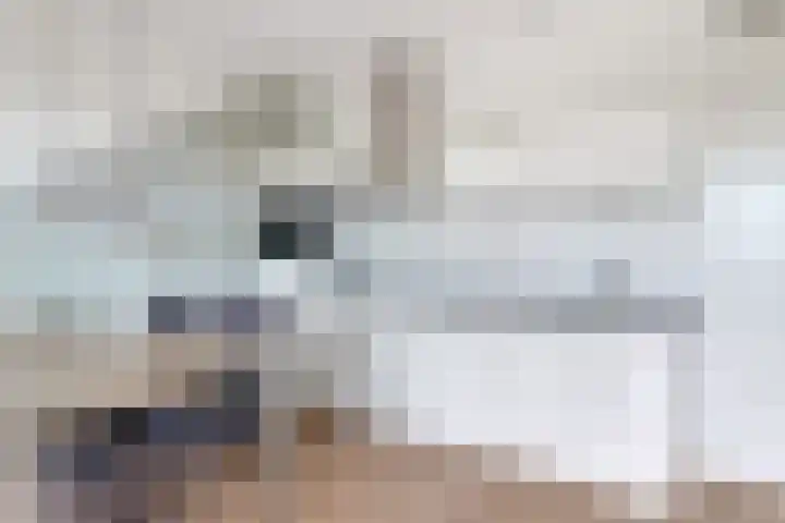 Westhove 146 Amstelveen thumbnail 11
