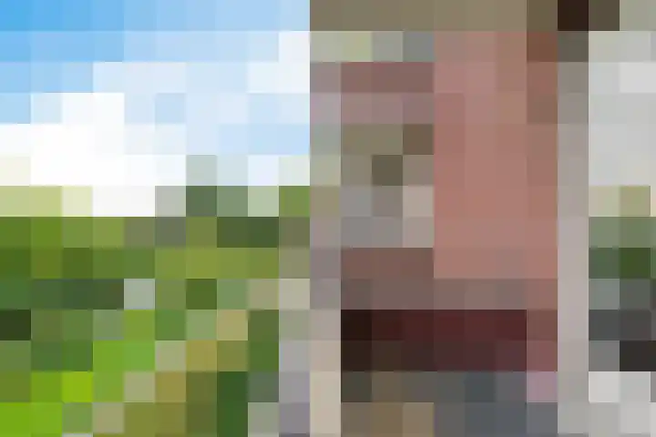 Westhove 146 Amstelveen thumbnail 19