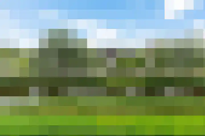 Westhove 146 Amstelveen thumbnail 26