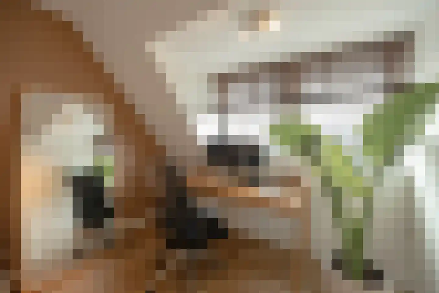Westhove 161 Amstelveen thumbnail 30
