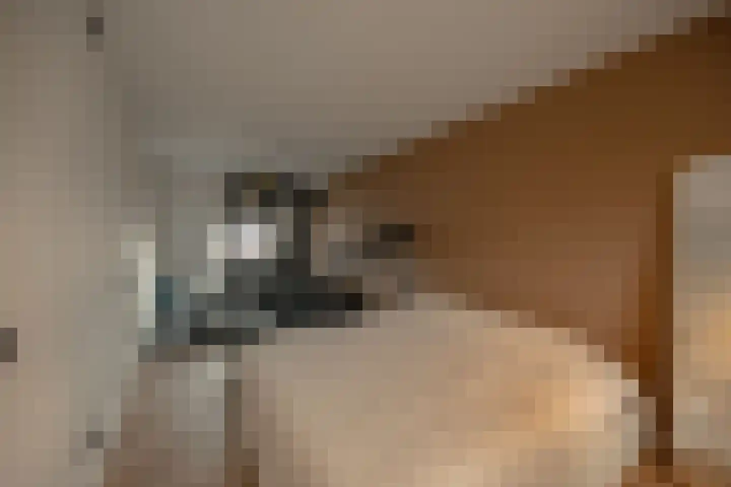 Westhove 161 Amstelveen thumbnail 31