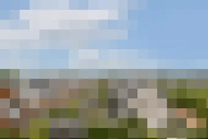 Westhove 170 Amstelveen thumbnail 25