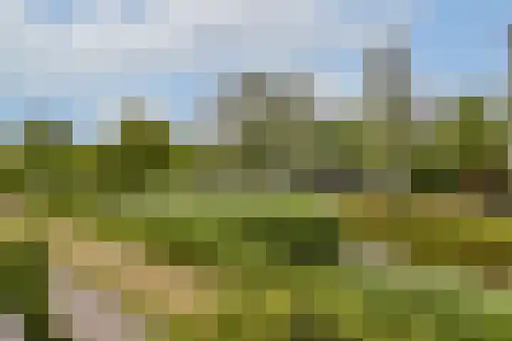 Westhove 170 Amstelveen thumbnail 26