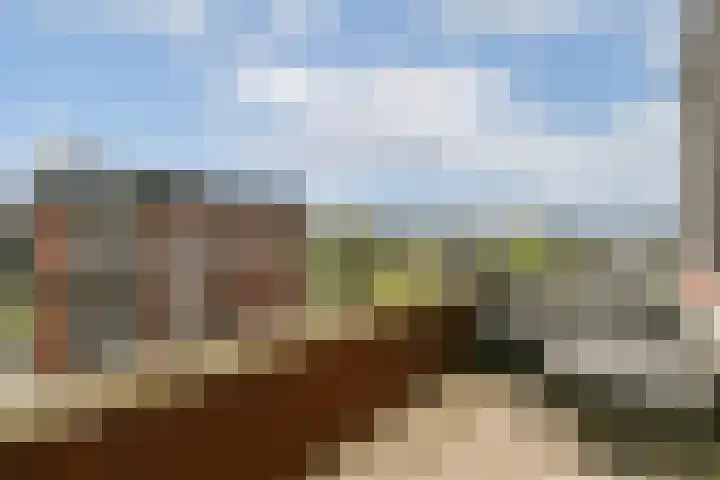 Westhove 170 Amstelveen thumbnail 4