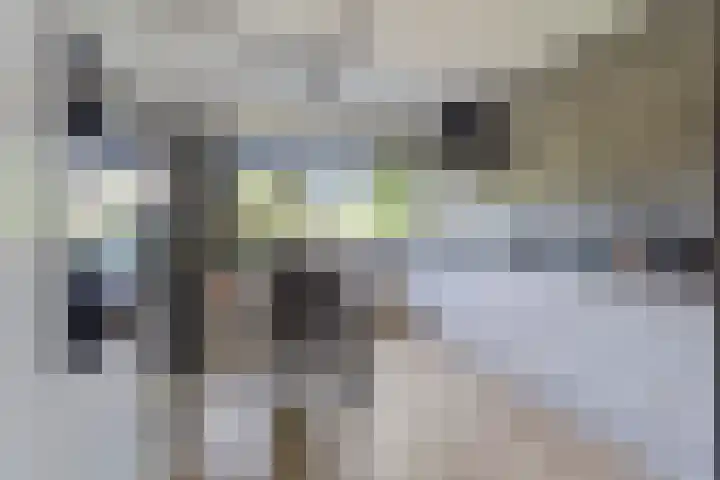 Westhove 22 Hoofddorp thumbnail 11