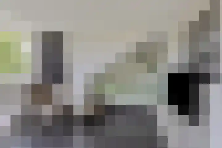 Westhove 22 Hoofddorp thumbnail 30