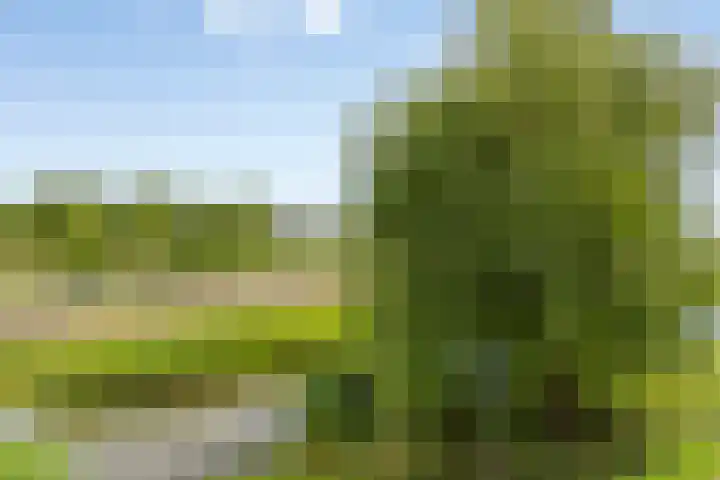 Westhove 22 Hoofddorp thumbnail 32