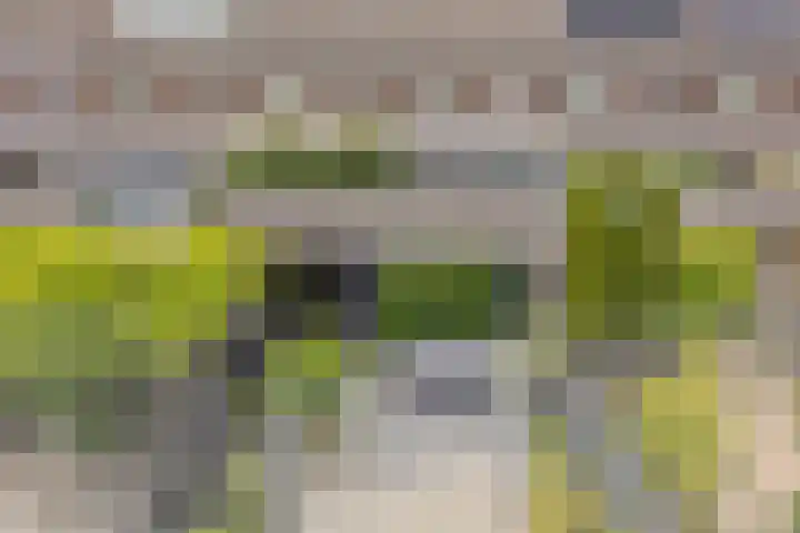 Westhove 22 Hoofddorp thumbnail 33
