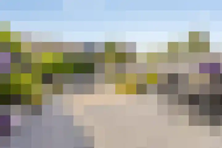 Westhove 22 Hoofddorp thumbnail 34