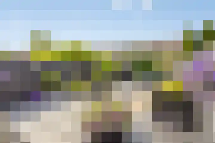 Westhove 22 Hoofddorp thumbnail 35