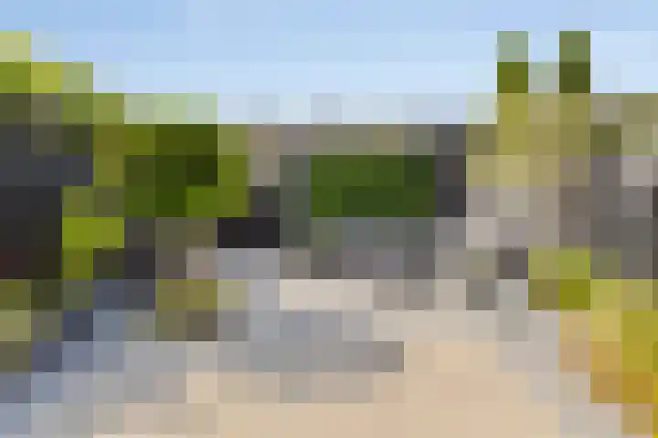 Westhove 22 Hoofddorp thumbnail 36