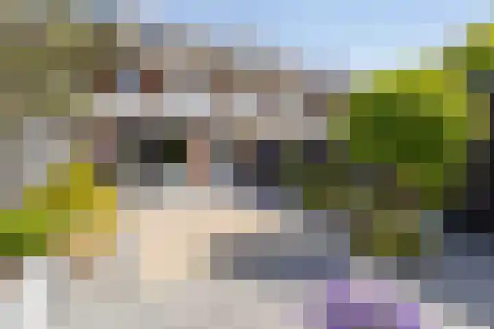 Westhove 22 Hoofddorp thumbnail 40