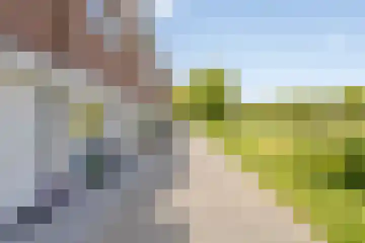 Westhove 22 Hoofddorp thumbnail 42