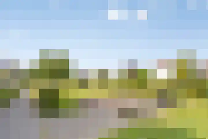 Westhove 22 Hoofddorp thumbnail 43