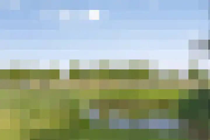Westhove 22 Hoofddorp thumbnail 6