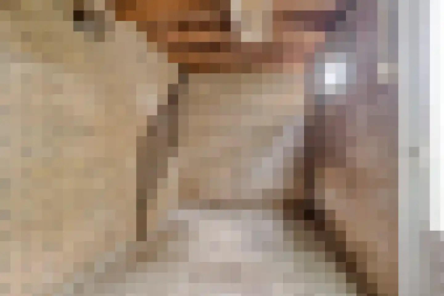 Westhove 38 Roden thumbnail 17