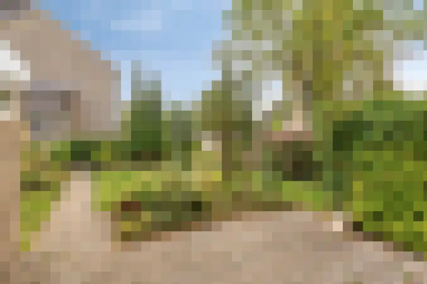 Westhove 38 Roden thumbnail 29
